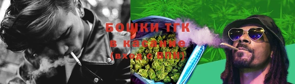 гидра Абаза