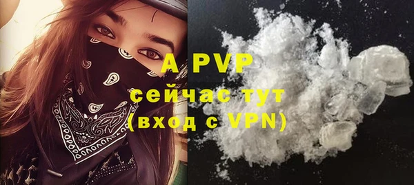индика Абинск