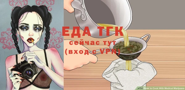 гидра Абаза