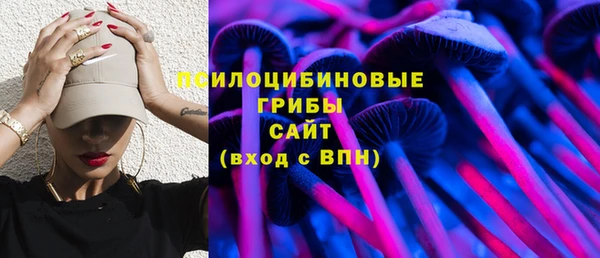 индика Абинск