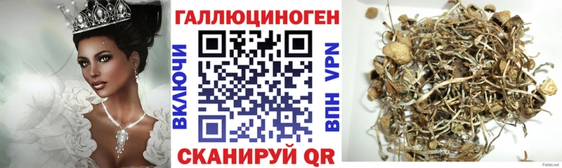 площадка формула  купить наркотик  Ермолино  Галлюциногенные грибы GOLDEN TEACHER 